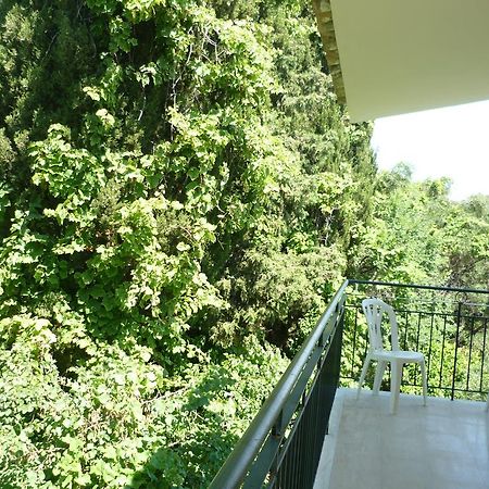 Karina Hotel Benitses  Esterno foto