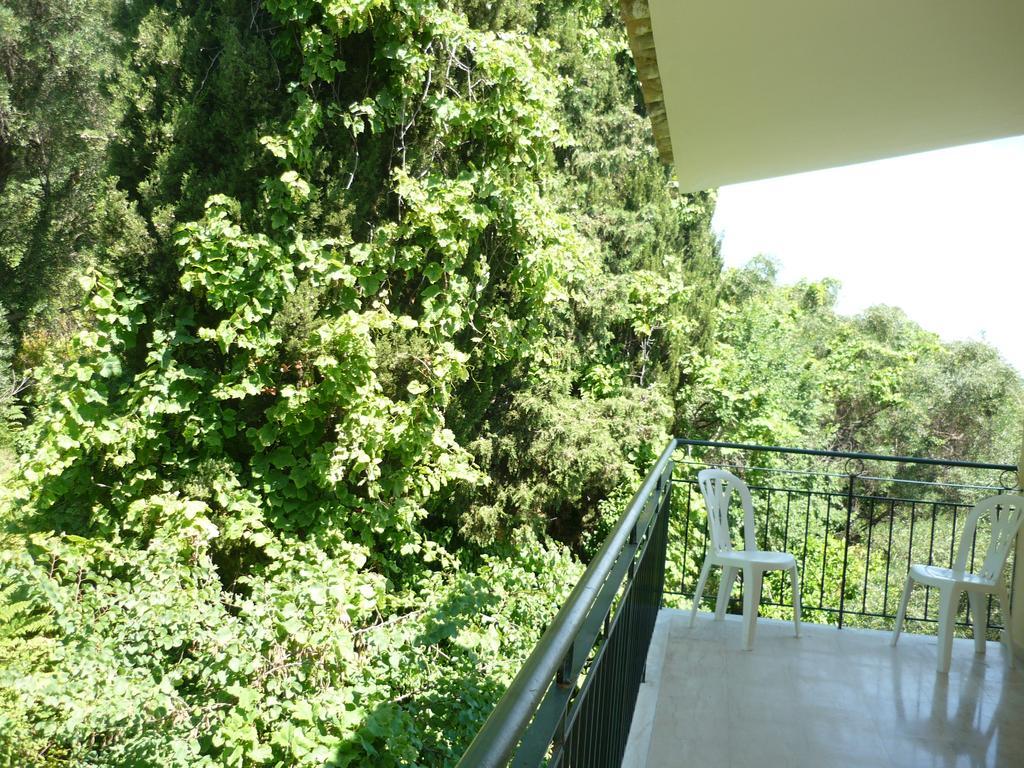 Karina Hotel Benitses  Esterno foto